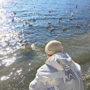 林姨小志的小说免费看
