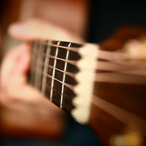 林姨小志的小说免费看
